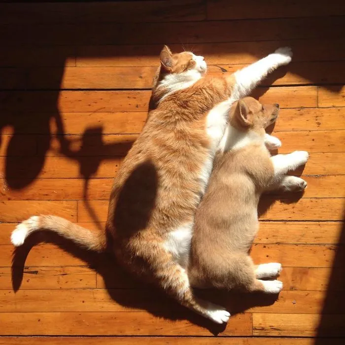 Soaking Up Some Sunshine
