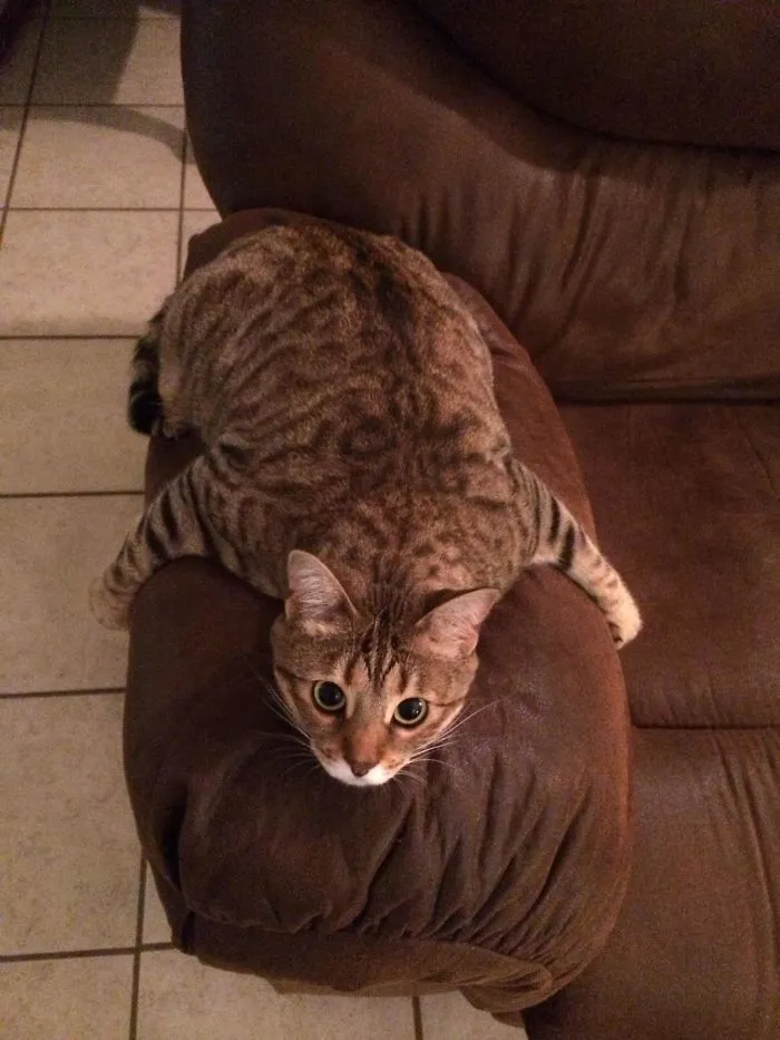 Meet Emmy. She's Weird