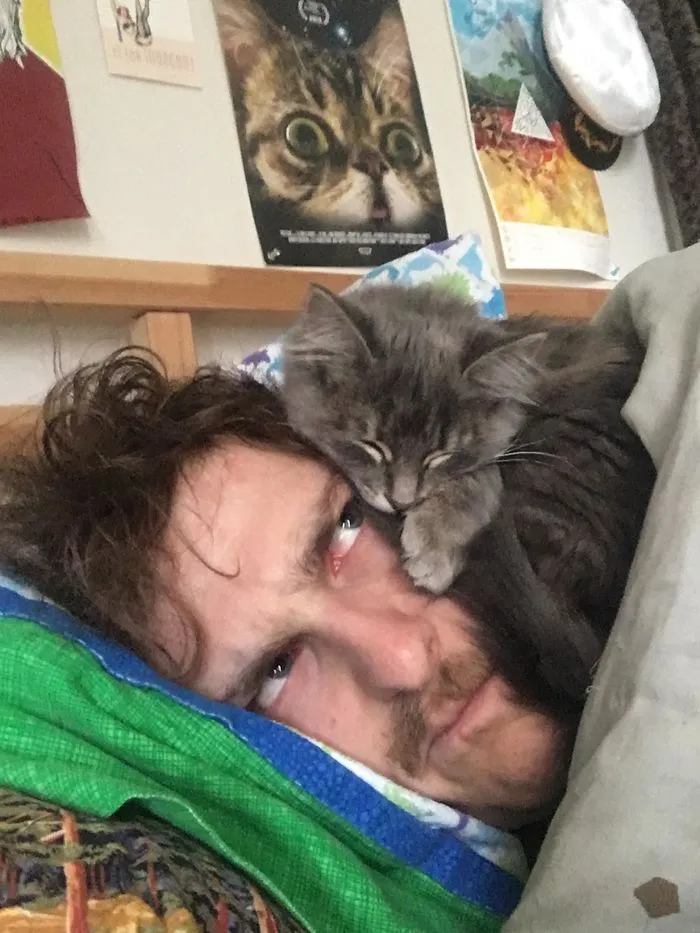 My New Cat Only Sleeps On My Head. Meet Newt