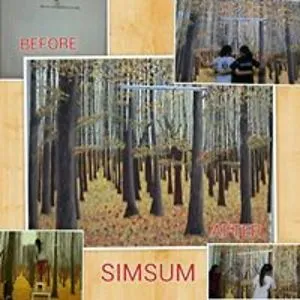 Simsum Arts