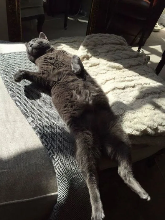 Loungin' In The Sun