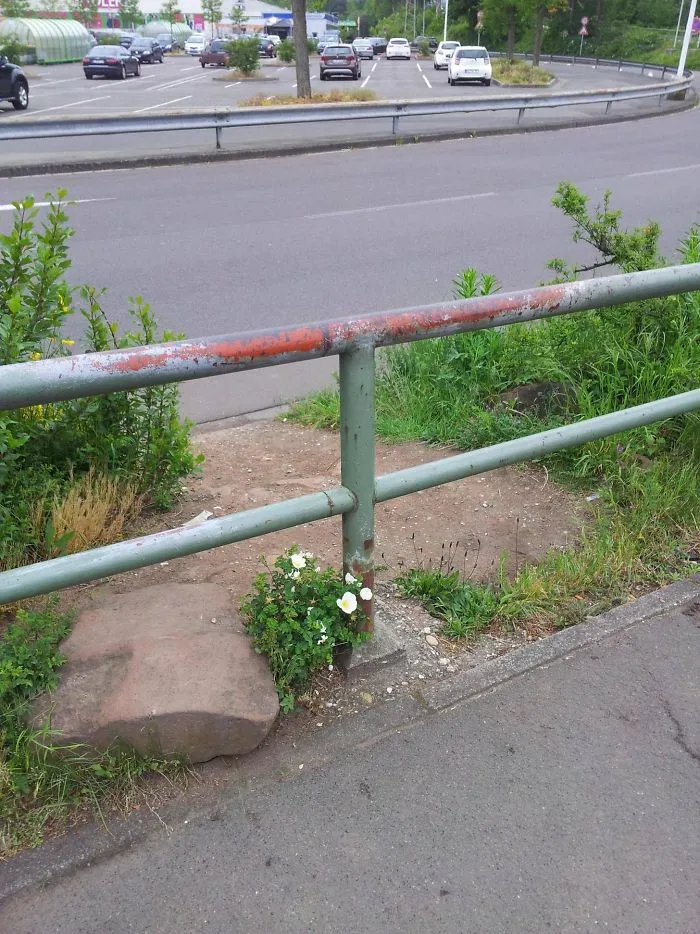 Path Created By People With Stepping Stone And Worn Railing