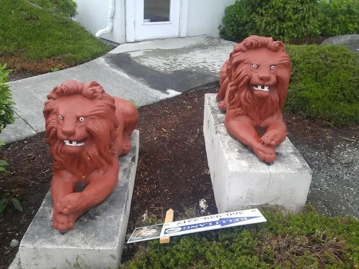 Estos leones han visto cosas muy chungas