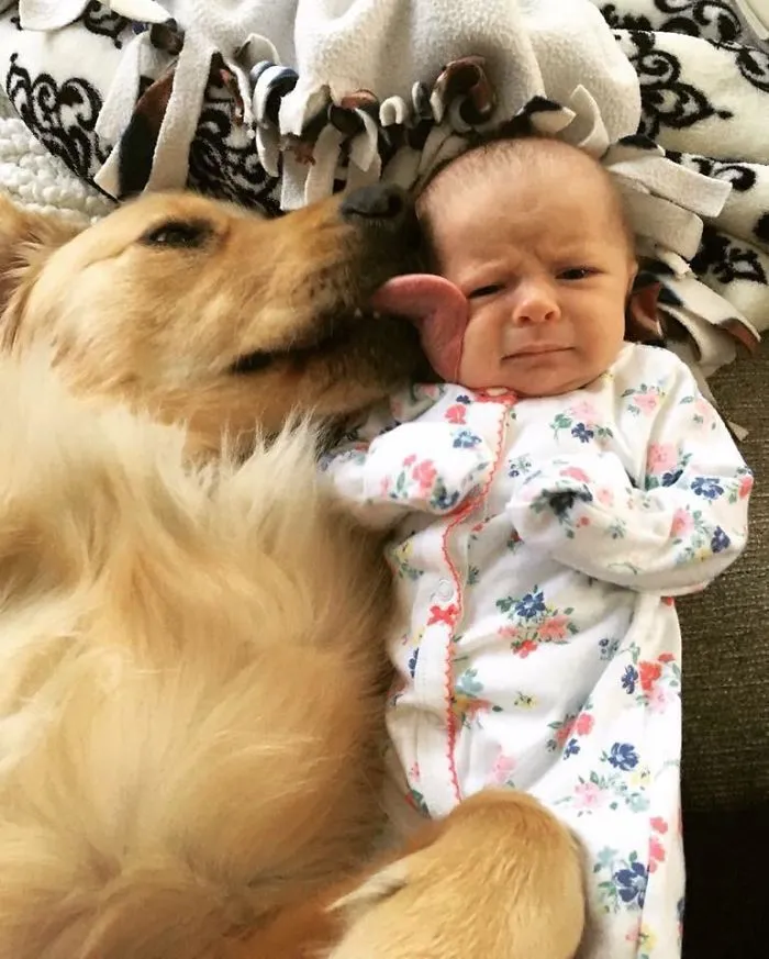 Mi perro adora a mi hija. Mi hija aún no sabe