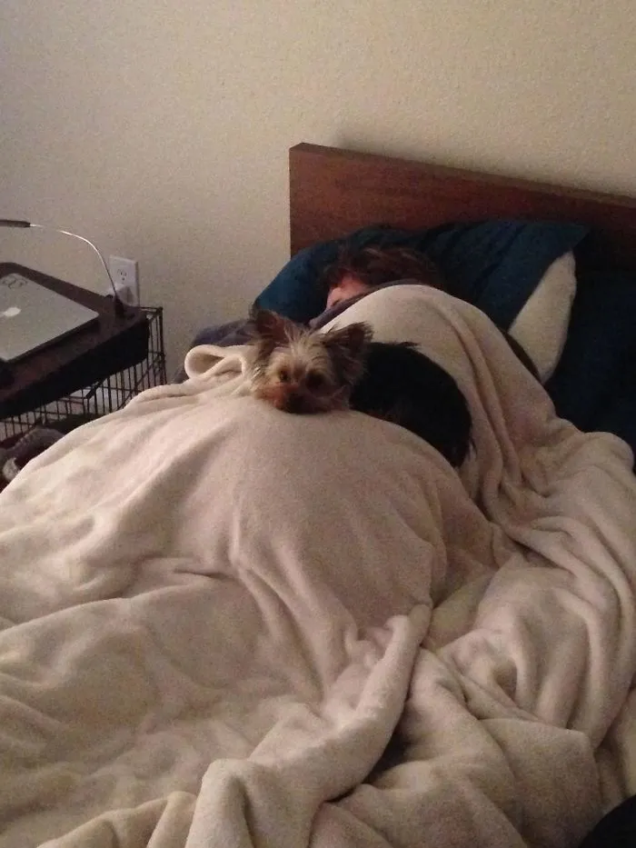 My Dog Fell Into An Icy Pond Yesterday. My Wife Jumped In And Saved Him. This Is How They Slept Last Night