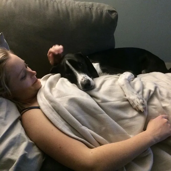 I Have No Doubt In My Mind My Dog Knows I'm Pregnant