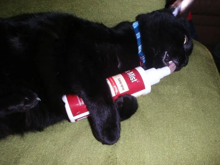 He Figured Out Where The Catnip Was Coming From
