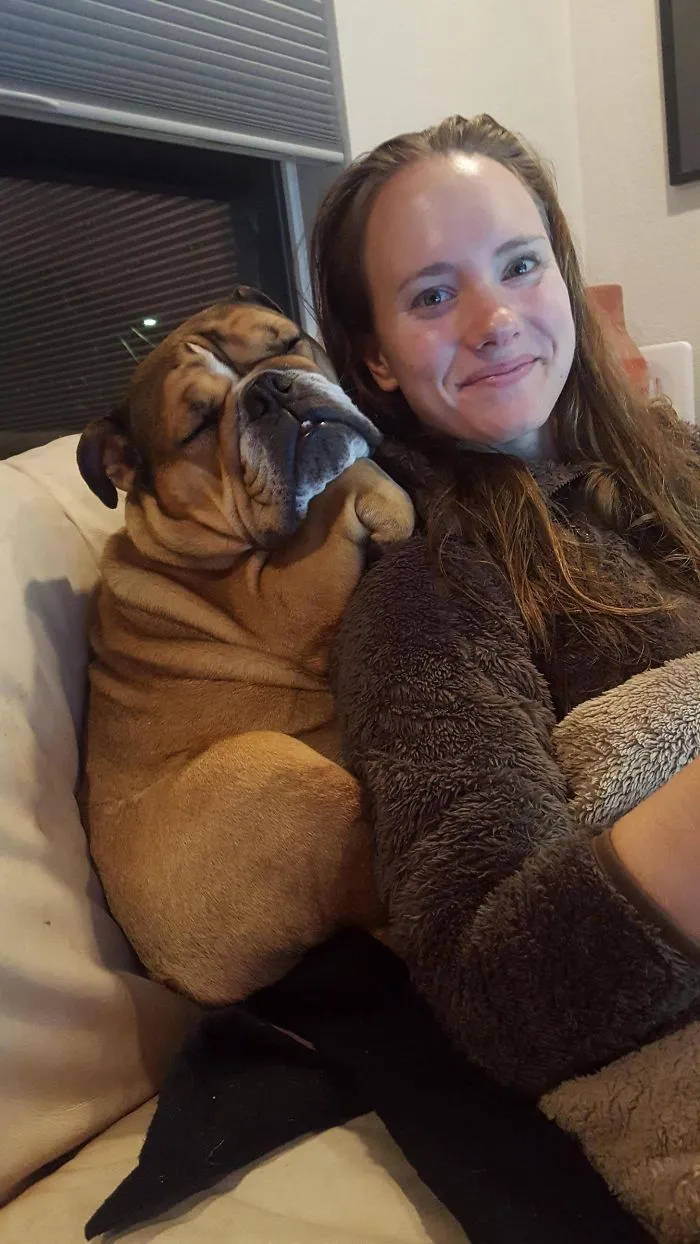 Así se ha dormido mi perro