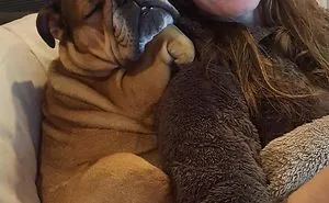 50 Hilarious Pics Of Dogs Acting Weird