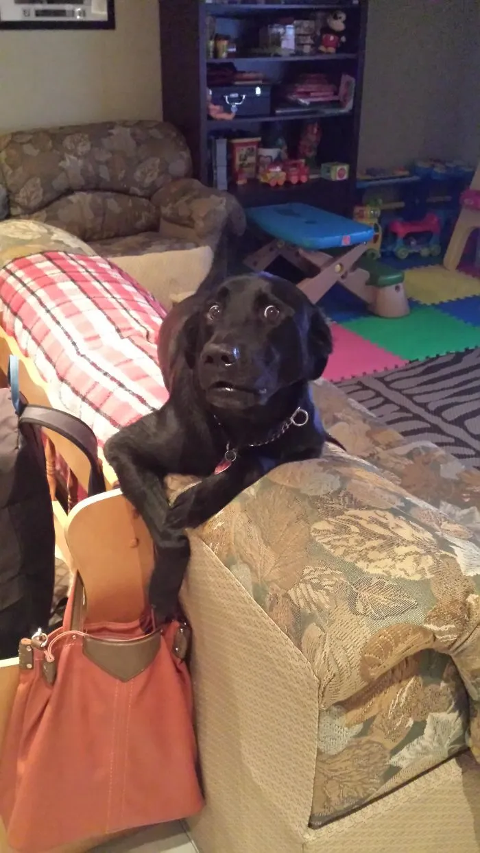 Caught Him Trying To Pickpocket My Moms Purse