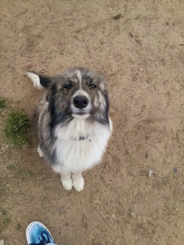 Caught Him In The Act Of Making Another Hole In The Ground. This Was His Reaction