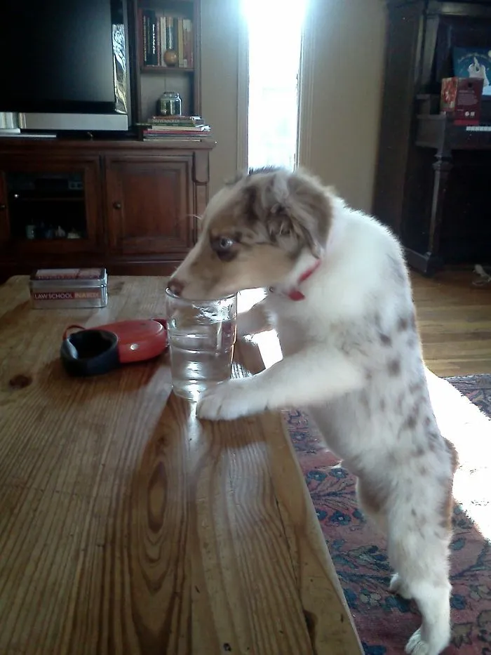 Caught In The Act