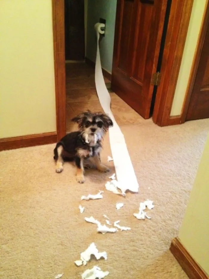 Caught In The Act