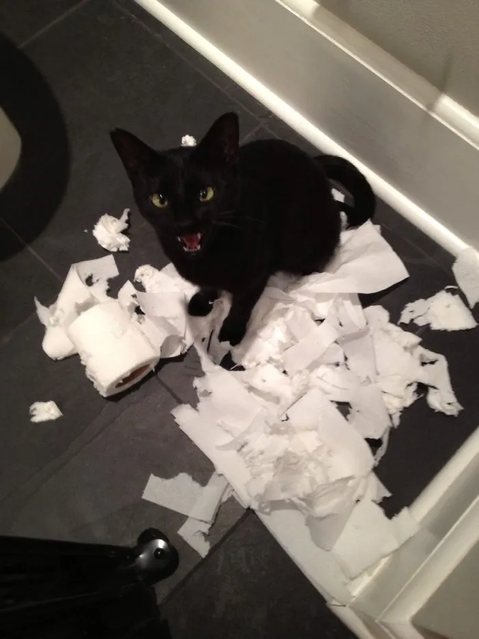 Caught In The Act
