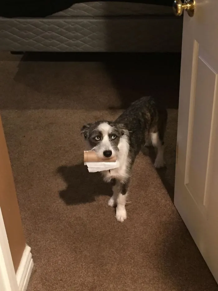 Caught In The Act