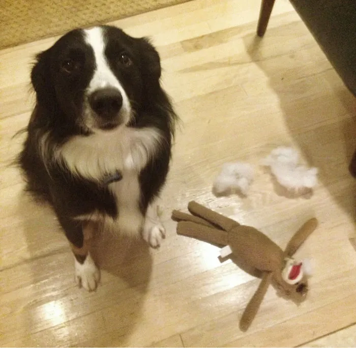 Caught At The Scene Of The Crime