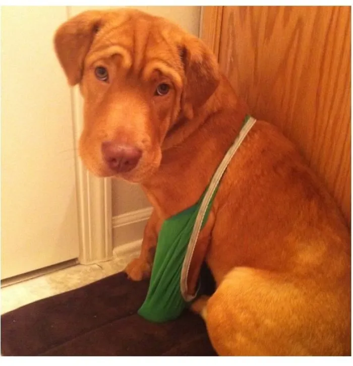 Look Who I Caught Trying On My Panties
