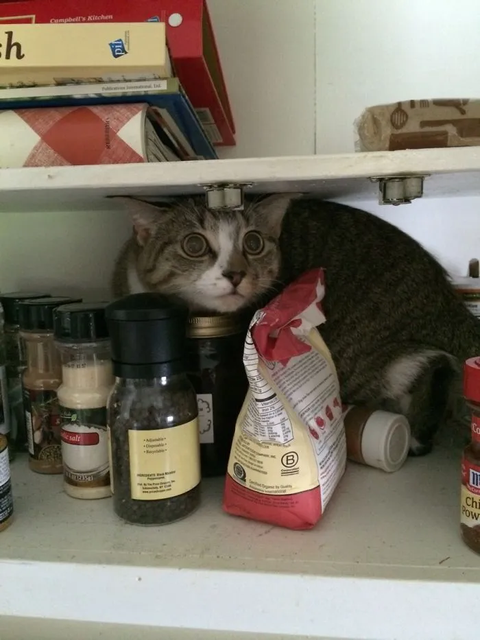 Somebody Got Caught