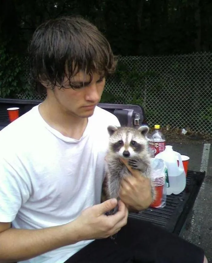 86 Trash Panda Pics That Prove They're The Cutest Animal In The World