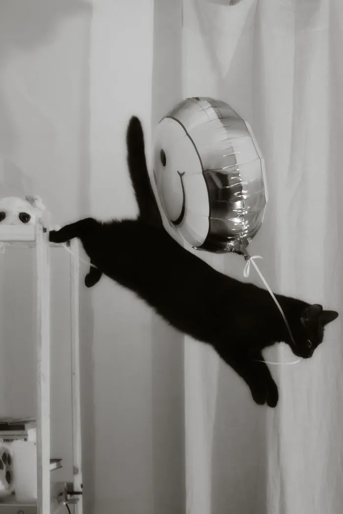 Ladrón de globos