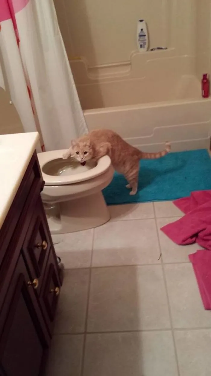 Caught Red Handed
