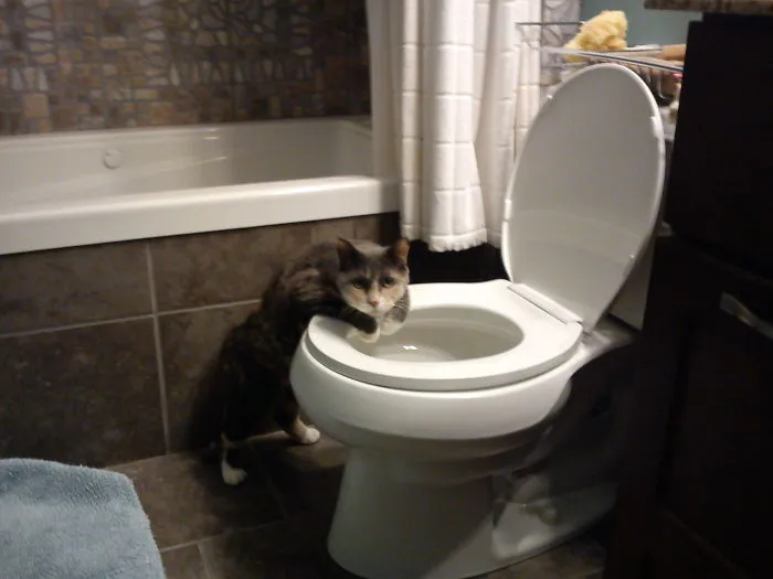 Caught Red Handed