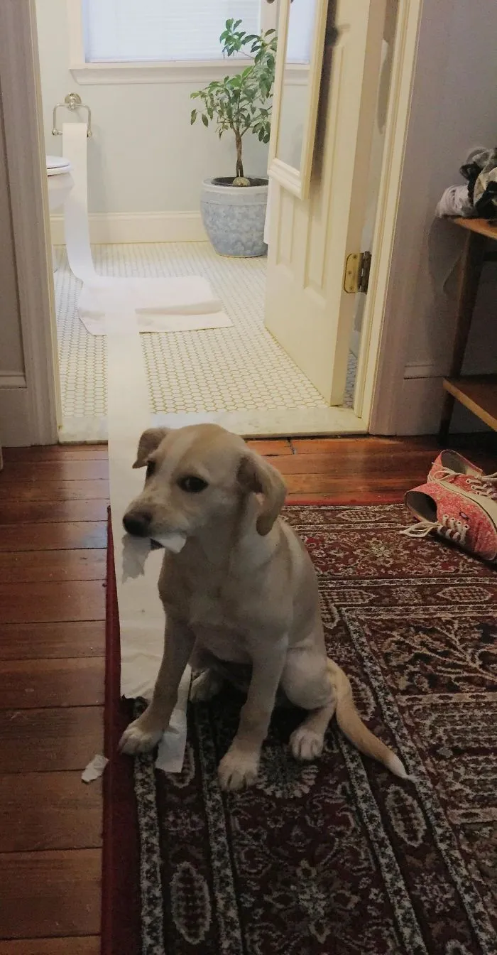 Busted