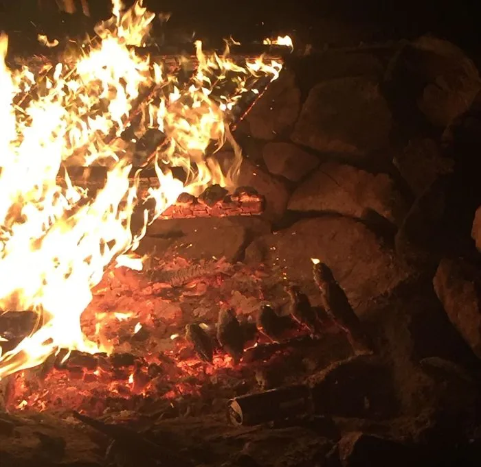 Palet quemado de tal forma que parecen pajaritos disfrutando del fuego