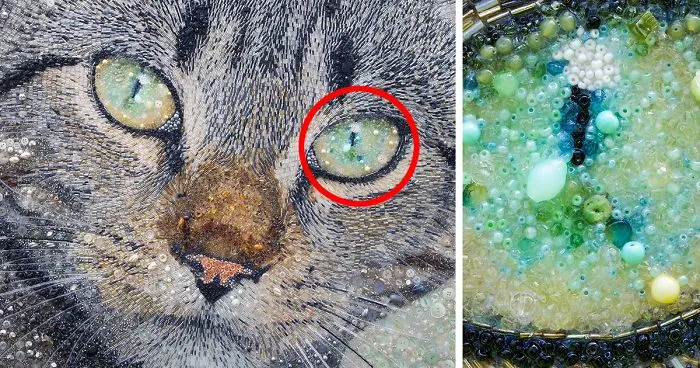 These Animal Portraits Are Not What They Look Like