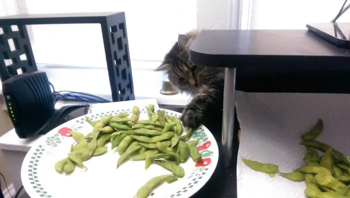 I Live With A Thief