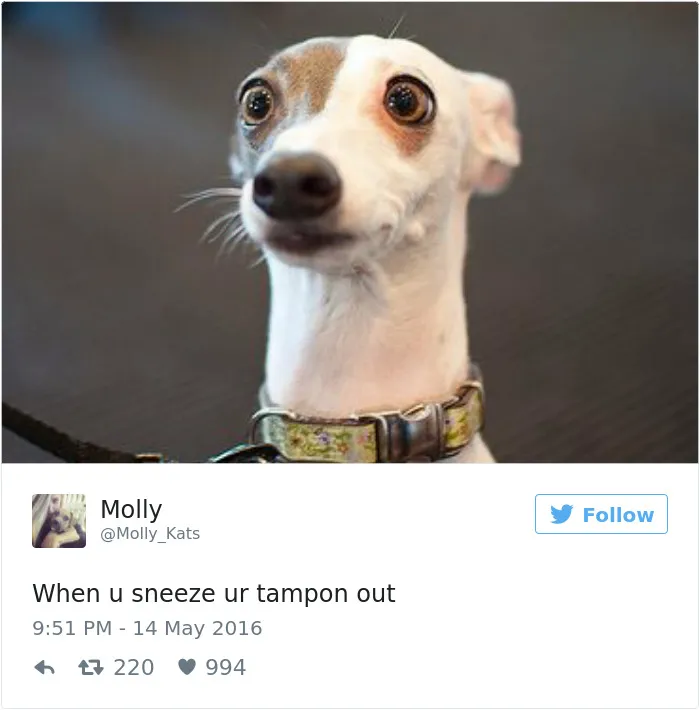 105 Painfully Hilarious Posts About Periods That Only Women Will Understand