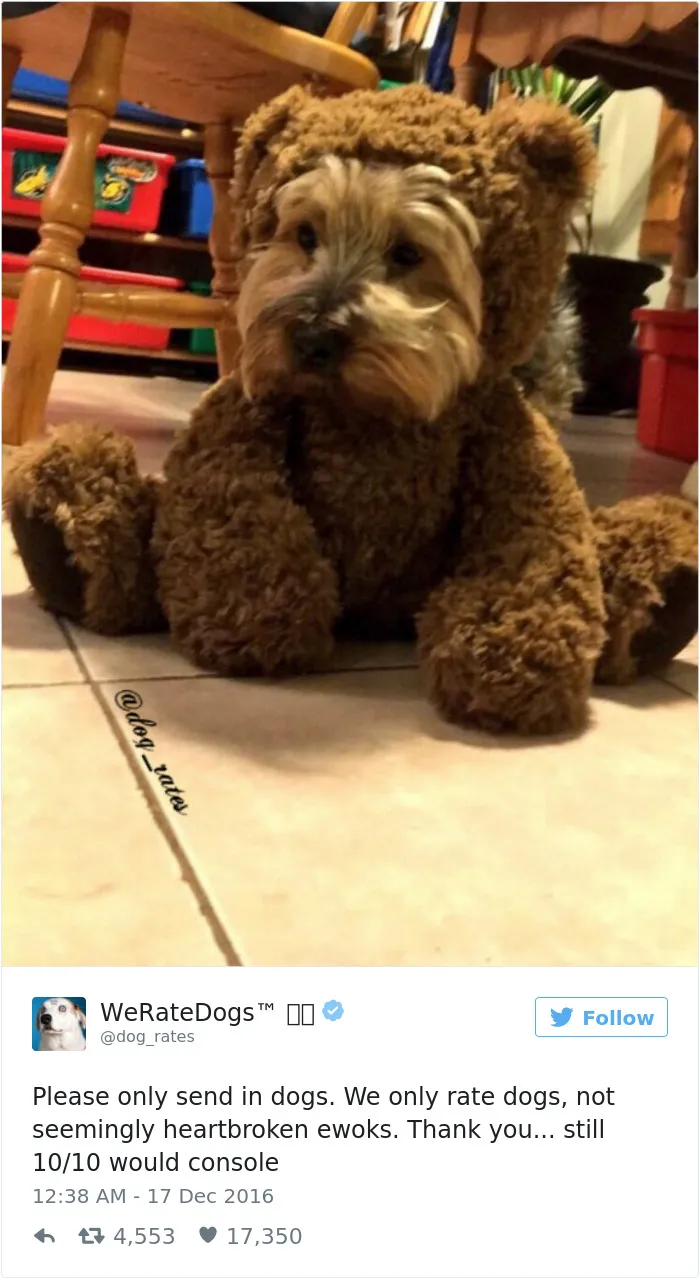 Not A Dog