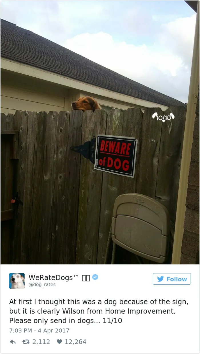 41 Times People Failed To Send Dog Pics To 'We Rate Dogs' Twitter