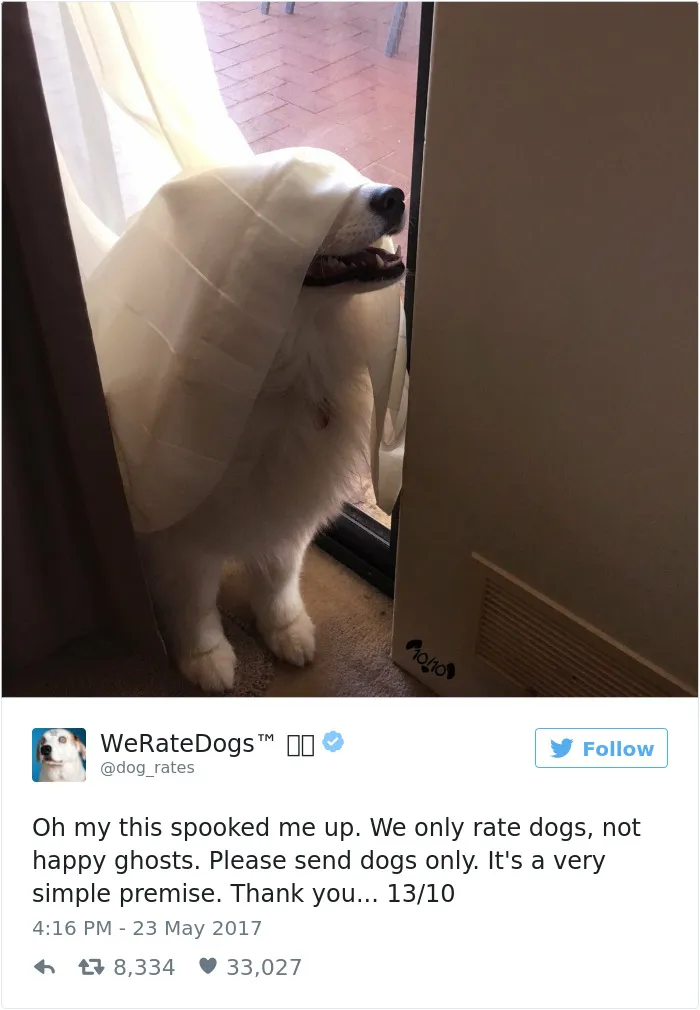 41 Times People Failed To Send Dog Pics To 'We Rate Dogs' Twitter