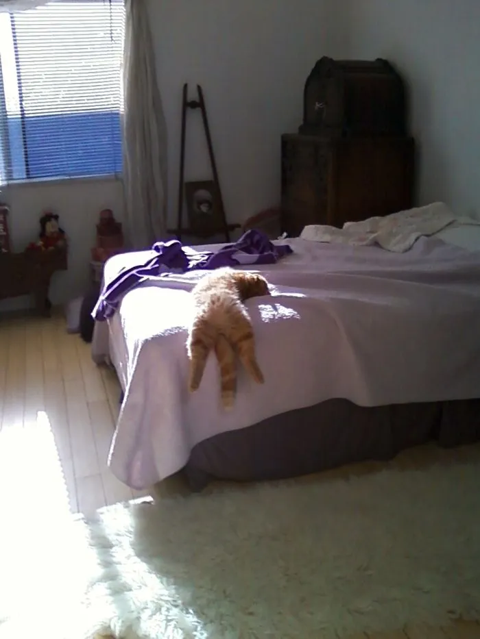 Timothy Asleep.