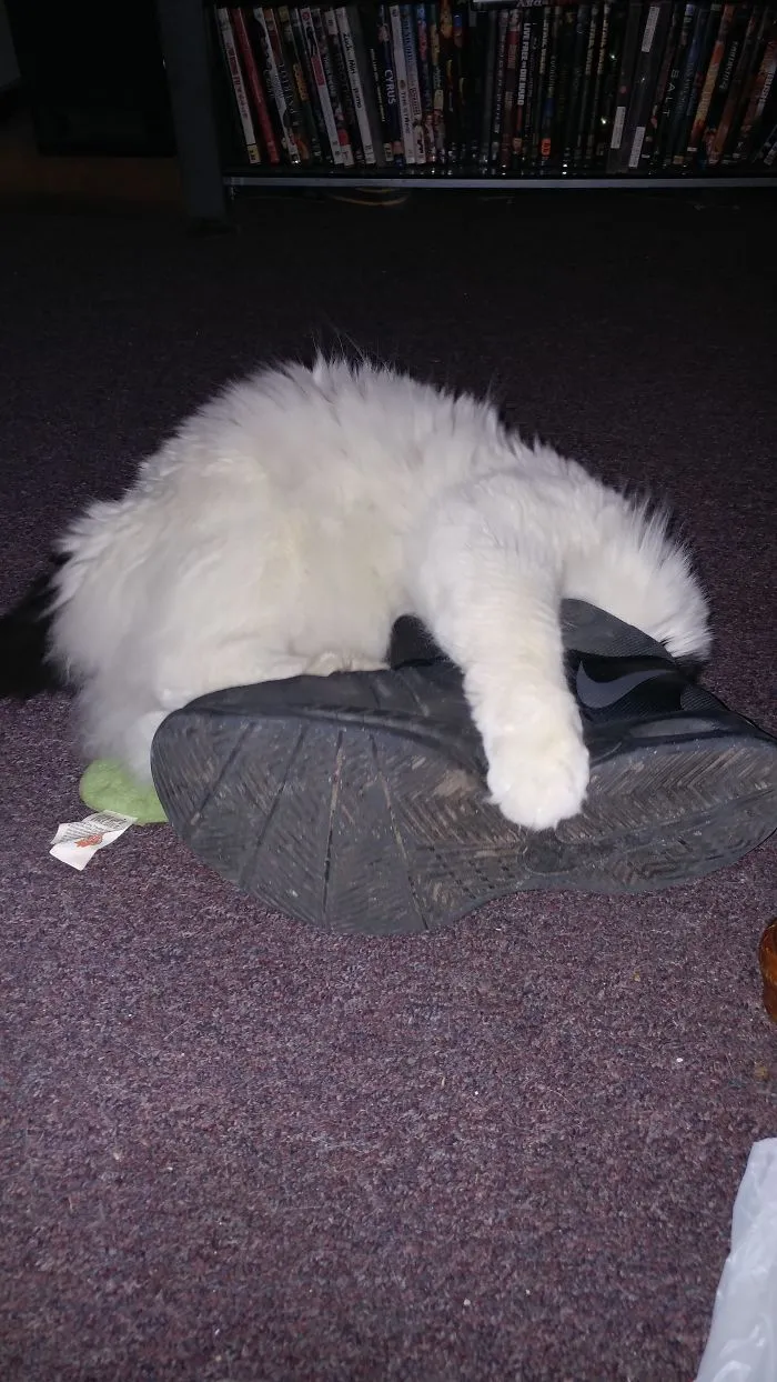 She Sleeps Like This!