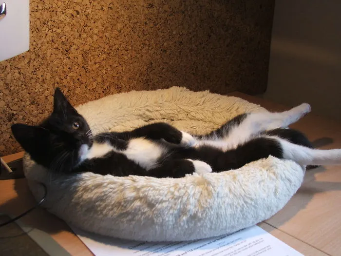 Just Chillin....