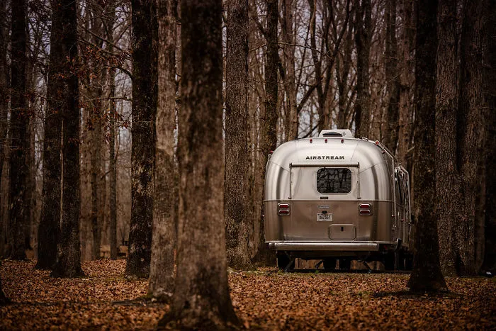 In The Woods