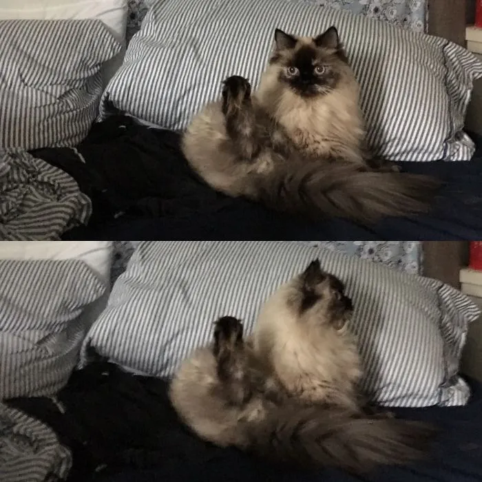 Leg In The Air Like I Don't Really Care.