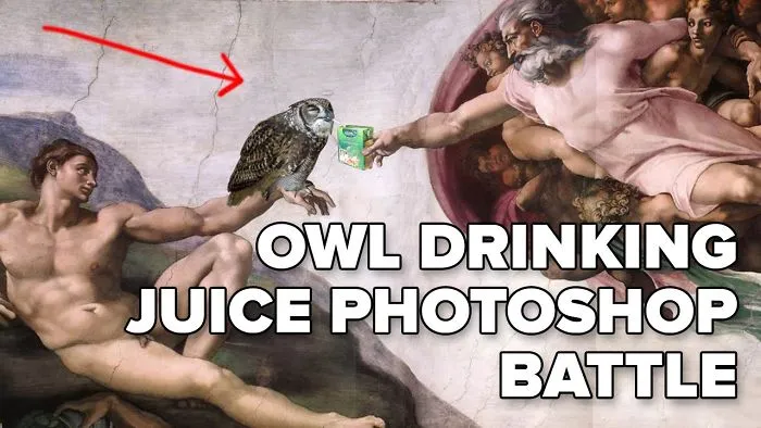 People On Reddit Are Going Nuts With This Owl Photoshop Challenge