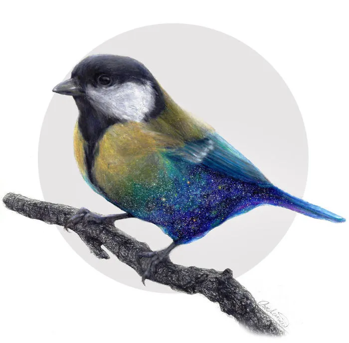 I Found This Pencil Artist Called Jossluka !