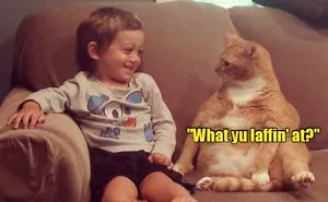 Just Another Cats Collection - Because Meow, That's Why!