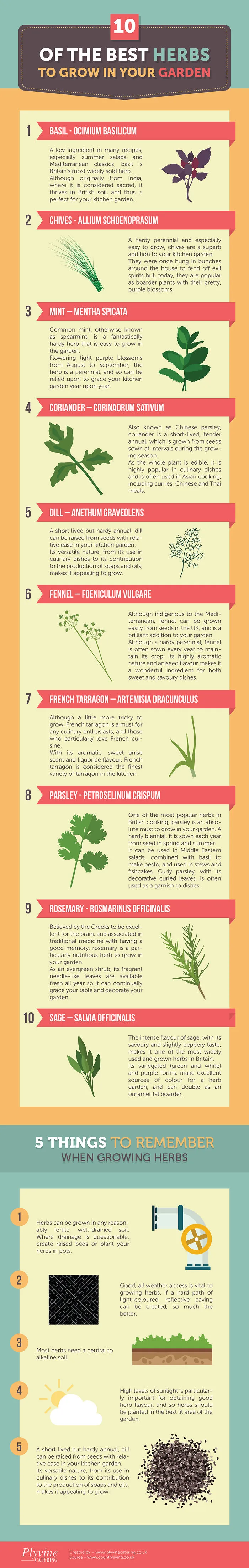 herbs, Cooking, Gardening, Infographic.