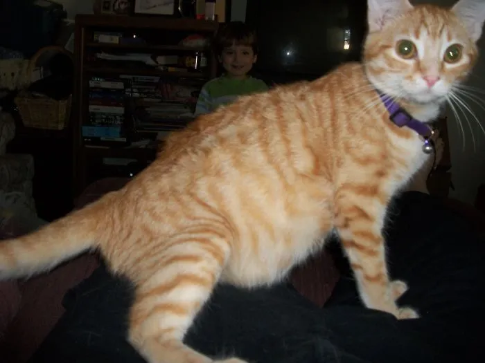 She Always Sat Like This When She Was Pregnant Years Ago. I Called Her A Blonde Lizard