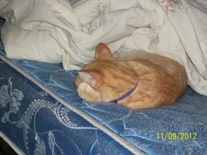 She Sleeps Like This Too