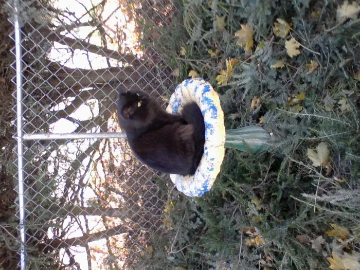 Loves The Bird Bath