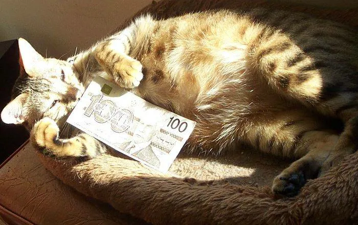 The Smell Of Money
