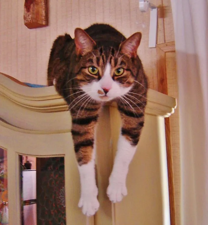 Benny Boy......mr Debonaire