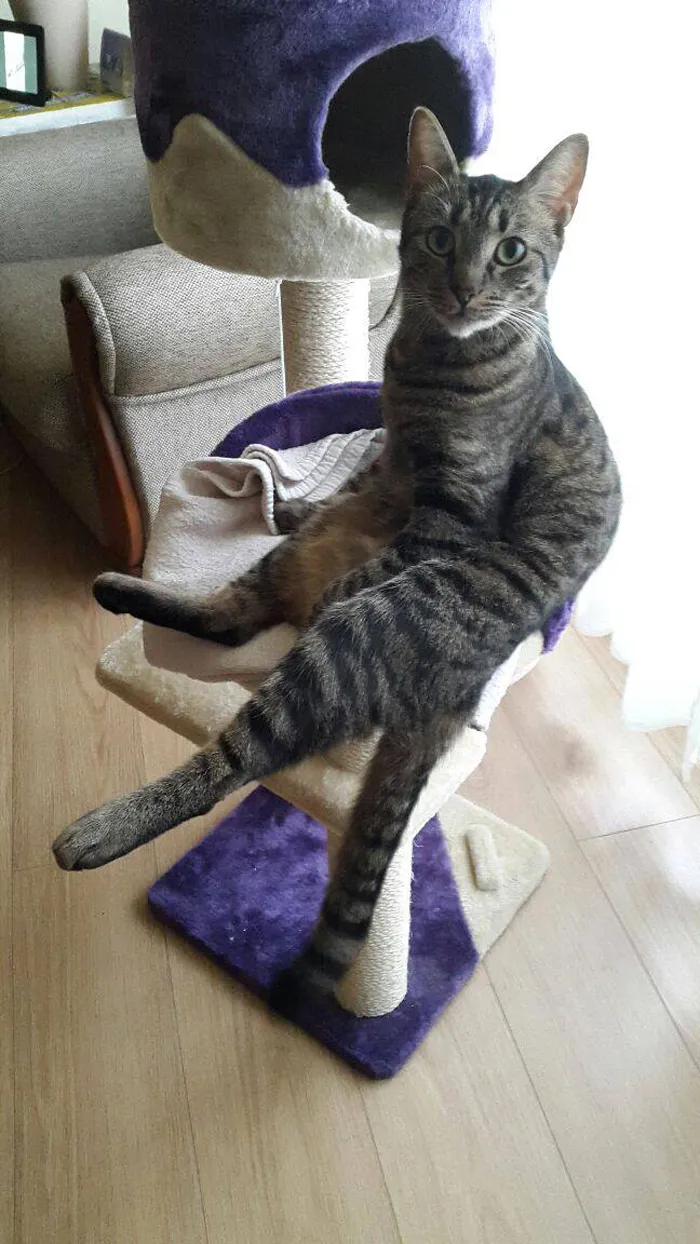Wut?!