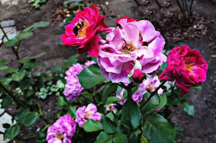 Here Are 20 Of My Flower Addiction Favorites.